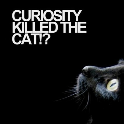 Curiosity killed the cat!?